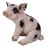 PIGLET C/1