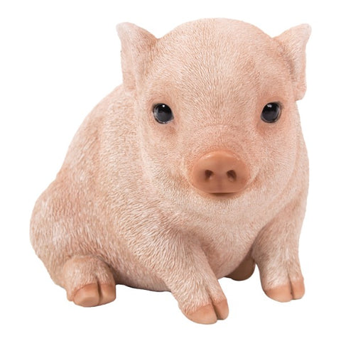 SMALL PIGLET C/6