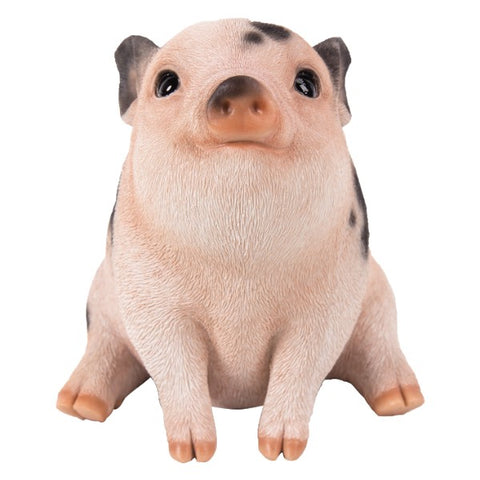 SMALL PIGLET C/6