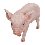 ^SMALL PIGLET C/6