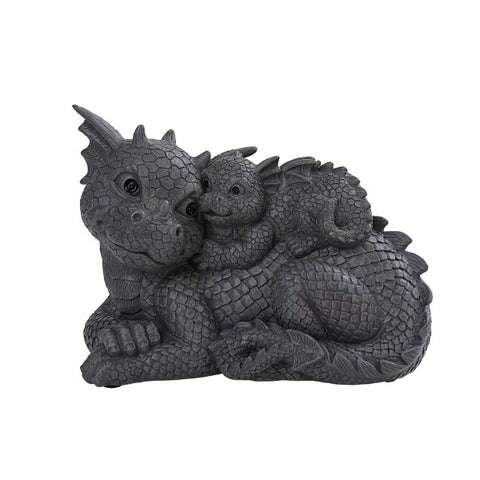 GARDEN DRAGON FAMILY, C/4