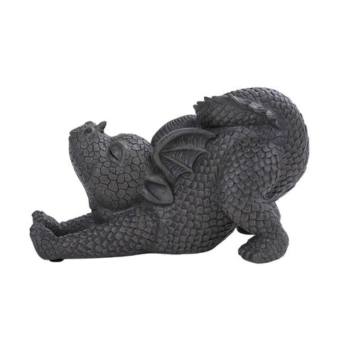 ^GARDEN DRAGON STRETCH C/6