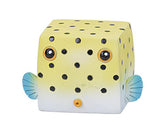 BOXY C/72