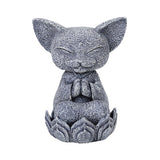 CAT JIZO C/36