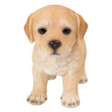 ^LABRADOR PUP STANDING C/6