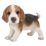 BEAGLE PUP STANDING C/6