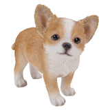 ^CHIHUAHUA PUP STANDING C/6