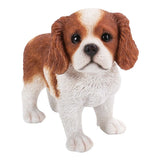 ^KC SPANIEL PUP STANDING C/6