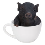 ^TEA CUP PIG BLACK C/12
