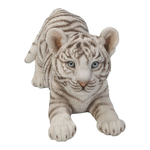 ^WHITE TIGER CUB C/2