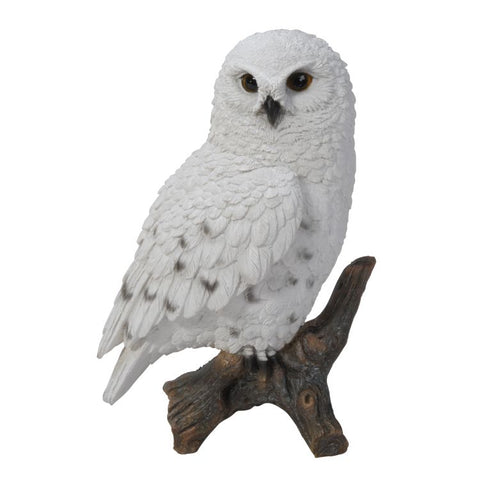 SNOW OWL C/8
