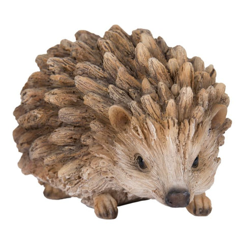 ^DRIFTWOOD BABY HEDGEHOG C/18