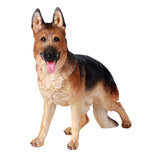 GERMAN SHEPHERD C/6