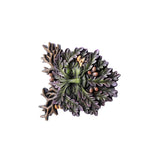 GREENMAN PLAQUE C/24