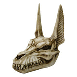 ANUBIS SKULL C/12