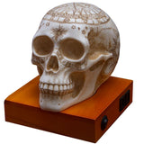 ASTROLOGY SKULL LAMP C/8