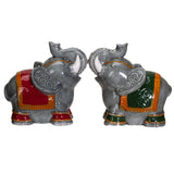 RAJA ELEPHANTS S&P C/48, C/36 MINIMUM OF 4