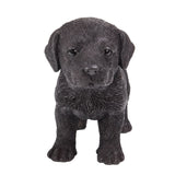 ^CHOCOLATE LAB C/6
