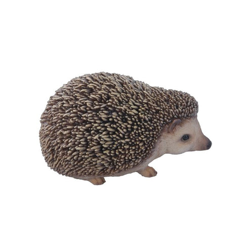 HEDGEHOG C/9
