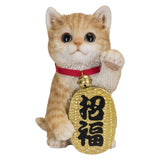 LUCKY CAT C/6