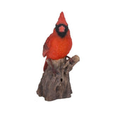 ^RED CARDINAL W/ SOUND C/6