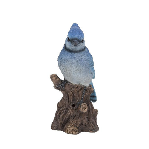 BLUE JAY W/ SOUND C/6