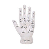 FORTUNE TELLER PALM C/16