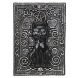^BLACK CAT TAROT BOX C/12