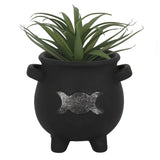 TRIPLE MOON CAULDRON PLANTER POT C/12