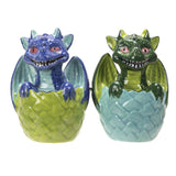 DRAGON HATCHLING S&P C/36 MINIMUM OF 4