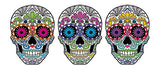 DOD Skull Heads Mug