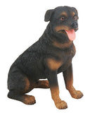 ROTTWEILER, C/96