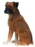 BOXER, C/96