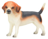 BEAGLE, C/96