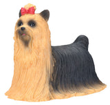 YORKSHIRE TERRIER, C/96