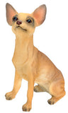 CHIHUAHUA (TAN), C/96