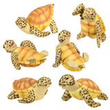 SEA TURTLE, SET/6 (RD), C/18