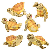 Sea Turtles (Set of 6)