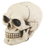 SKULL SHIFT KNOB, C/48