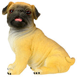 DISC-PUG PUPPY, (RD) C/96