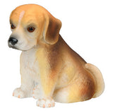 ^BEAGLE PUPPY, C/96