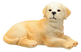 GOLDEN RETRIEVER PUPPY (RD), C/96