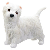 WEST HIGHLAND TERRIER PUPPY (RD), C/96