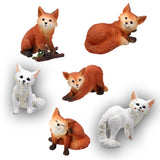 DISC-FOXES, SET/ 6, (RD),C/18