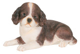 English Springer Spaniel Puppy