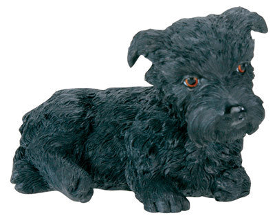 SCOTTISH TERRIER PUPPY, CC/96