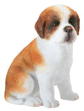 ST BERNARD PUPPY,CC/96