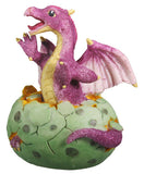 PURPLE DRAGON HATCHLING, C/48