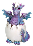 ^BINDY DRAGON HATCHLING, C/36