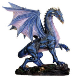 MED. MIDNIGHT DRAGON, C/6, C/4